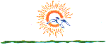 dmfvlogo