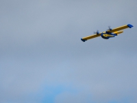 DSC03884 DSC03884